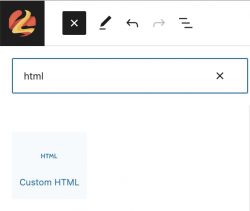 search-for-custom-html